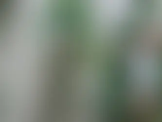 Ways You Can Babyproof Your Garden Before Summer Arrives