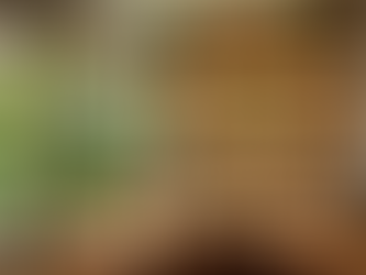 Eco-Chic Home Bar Setup: Essentials for a Green Lifestyle