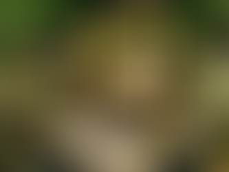 How to create a Stunning Modern Garden Space That Customers Can't Resist