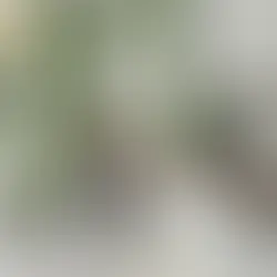 Sustainable Ways to Upgrade Your Kitchen