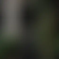 Ways a Professional Door Installation Enhances Home Security