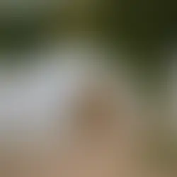 What Makes Mongolian Yurts Unique Compared To Other Portable Homes