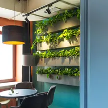How to Create an Indoor Vertical Garden