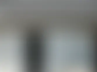 What Happens If You Delay Roof Repair in Lorton