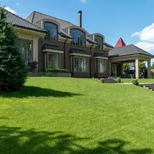 How to Keep Your Lawn Green During Florida’s Hot Summers