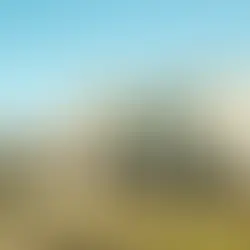 The Benefits of Professional Help in Texas for Property Taxes Protest