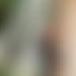 How to Prepare Your Home for Exterior Painting in Colorado