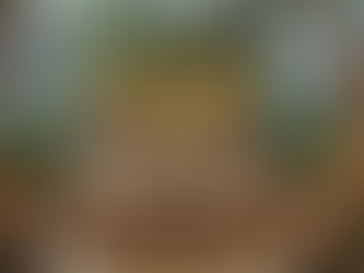 Christmas Forest Bar Theme: A Wild Escape into Festive Enchantment