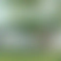 What to Know Before Buying Freeport New Construction Homes