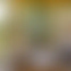 What Are the Most Common Types of Glass Repair Services?