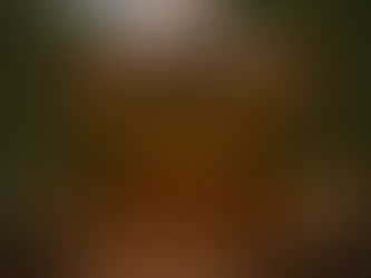 Unleash the Vibe: Creative Open-Air Bar Concepts to Elevate Your Tropical Escape