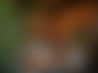 Earthy and Elegant: Using Greenery to Accentuate Your Bar Decor