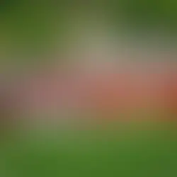 Top Things to Consider Before Buying Pole Barn Kits for Your Property