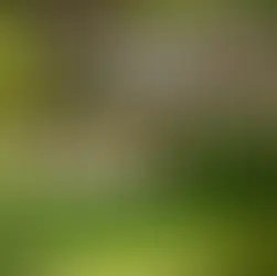 How to Create a Stylish Outdoor Living Space at Home