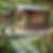  an outdoor bar with a garden setting, designed in a minimalist rustic style. It features a serene landscaped garden with lush greenery, natural stone pathways, and simple wooden seating