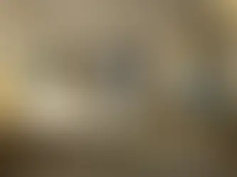 Which Hotels Will See the Most Value from In-Room TV Systems?: Maximizing Guest Experience and ROI