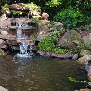 All-in-One Pond Pump Systems: A Guide to Clean, Healthier Pond Water