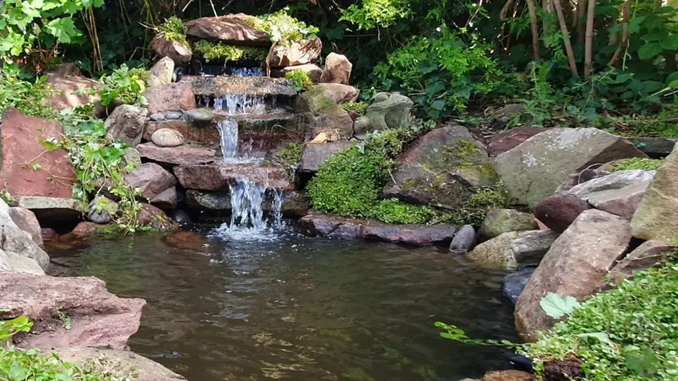 All-in-One Pond Pump Systems: A Guide to Clean, Healthier Pond Water