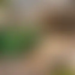 How Dumpster Rental in Mooresville, NC Simplifies Renovation Projects