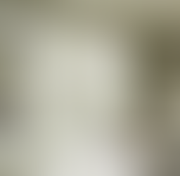 How to Choose the Best Replacement Windows for Your Home