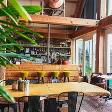 How Sustainable Design Is Shaping the Modern Bar Experience