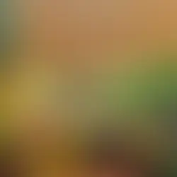 How Long Does Escherichia Coli Stay in Your System?