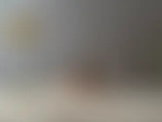 Vase Decor Ideas: Elevate the Room with Ceramics and Bloom