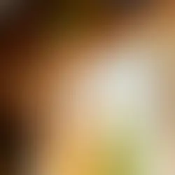 How Quality Wood Windows Transform Homes in Whitehall, PA