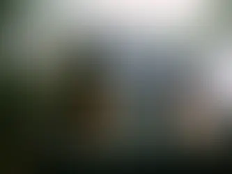 Deluxe Lofted Barn Cabins: The Perfect Backyard Retreat for Modern Living