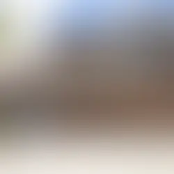 Warning Signs Your Garage Door Needs Quick Professional Attention