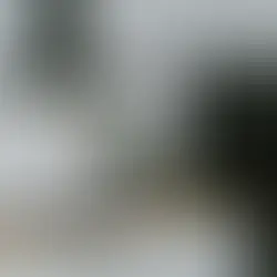 Professional Refrigerator Repair Services for Modern Homes