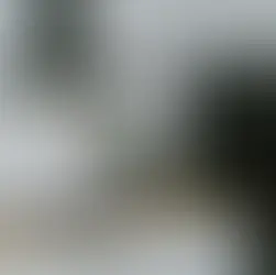 Professional Refrigerator Repair Services for Modern Homes