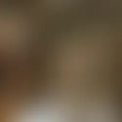 Starting a Restaurant? Bring the Outdoors In: Nature Motifs That Make Diners Stay Longer and Post More