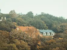 What to Know Before Having Solar Panels Installed at Home