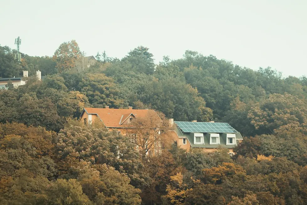 What to Know Before Having Solar Panels Installed at Home