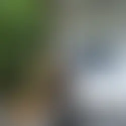 Why Garden Rooms Are Changing the Way We Use Our Homes