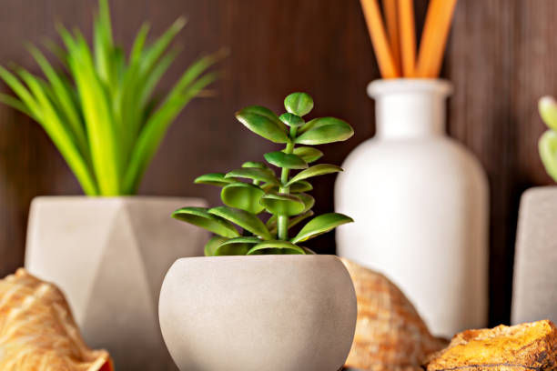 The Luckiest Home Decor Trend: Why Everyone Is Styling an Artificial Money Tree