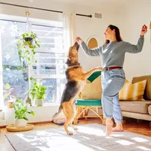 How to Design a Pet-Friendly Home That Feels Stylish and Comfortable