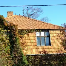 Why Roof Windows Are a Practical and Stylish Home Upgrade