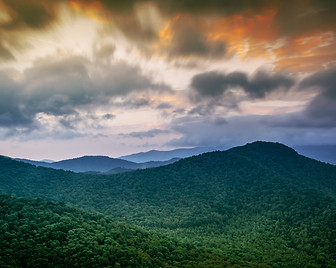TropicalForestLandscape.jpg