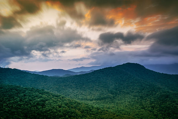 TropicalForestLandscape.jpg