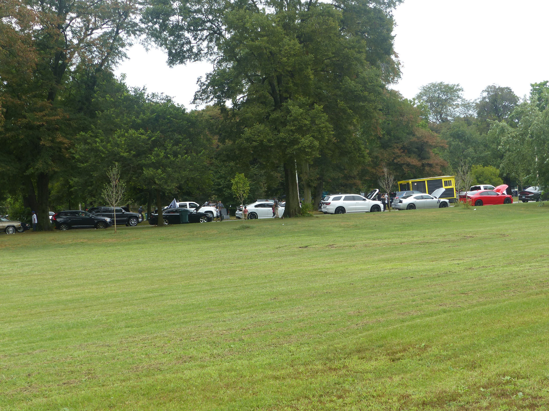 Empty Park and Line of Cars