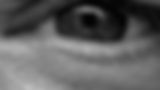 jean_charles_le_lay_photographe.JPEG