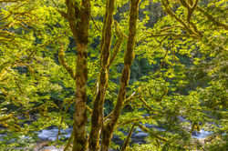 _SD_5130-HDR