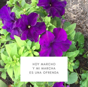 Hoy marcho, y mi marcha es una ofrenda