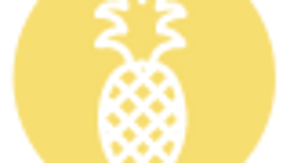 Falcon Tesla Wedding Cars Electrifying Luxury in North West UK