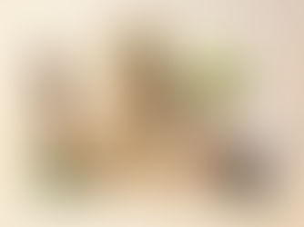 Em preparação para nova exposição, Museu do Homem do Nordeste ensaia expografia em galeria