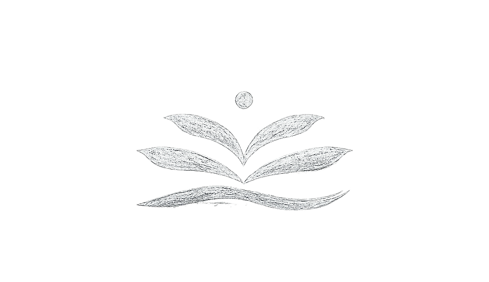 d91ce154-2567-46db-b62b-1b09c3718182.png