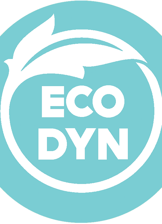 ecodyn_logo_edited.png