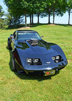 Shelton Vineyards 2016 (27)